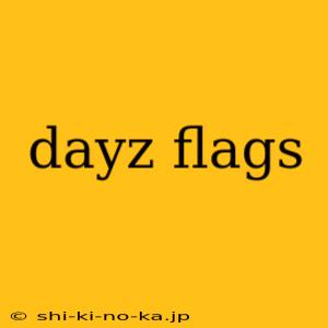 dayz flags