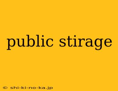 public stirage