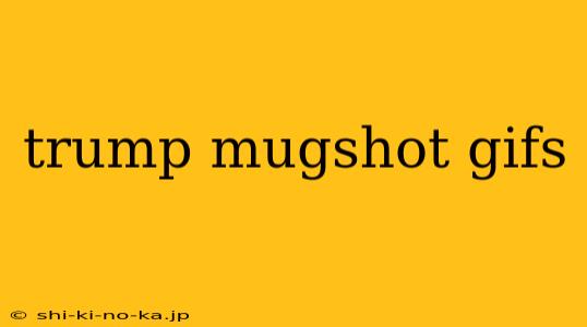 trump mugshot gifs